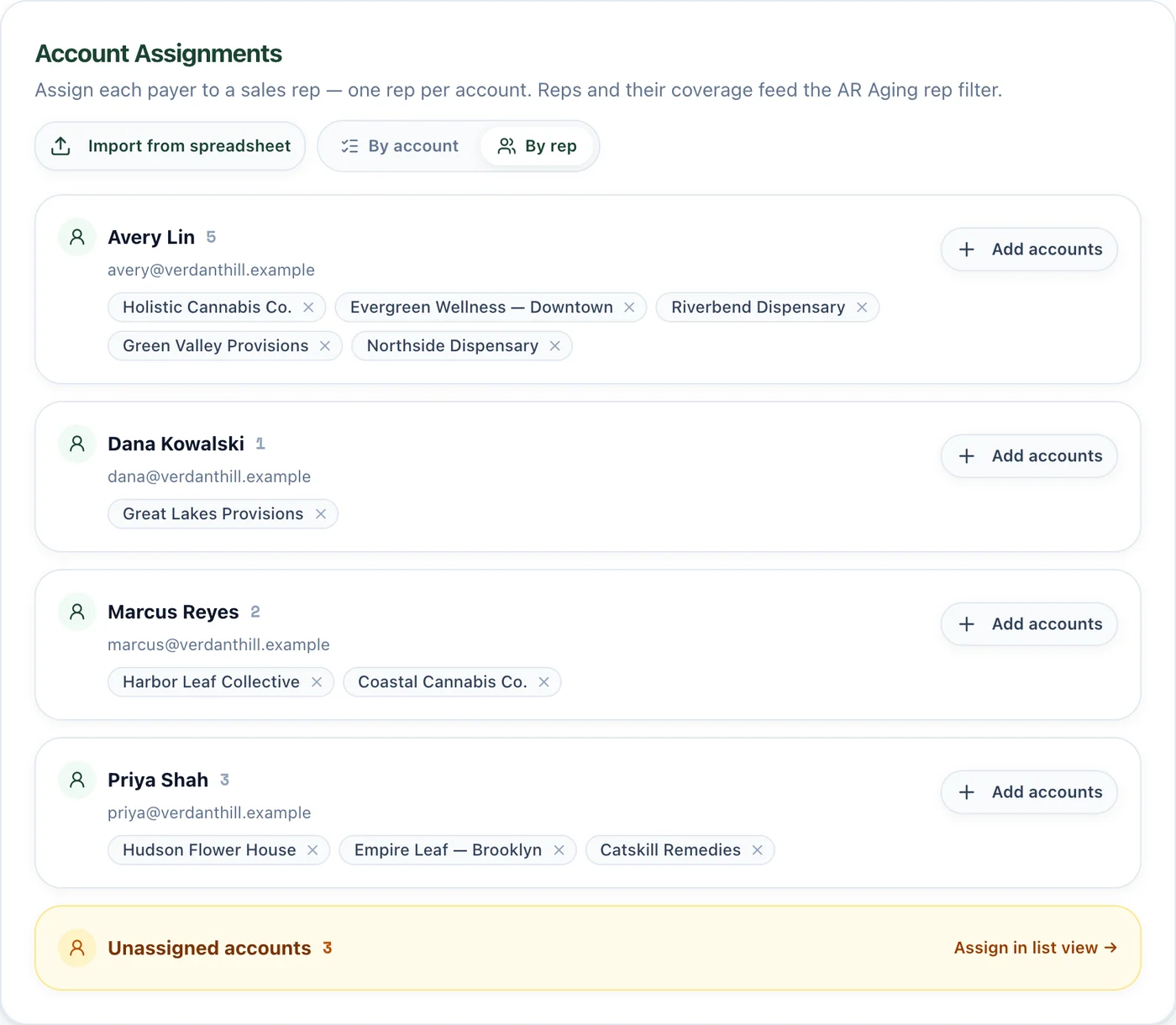 Account Assignments by rep: each rep's accounts as chips with an Add accounts button, plus an Unassigned accounts card